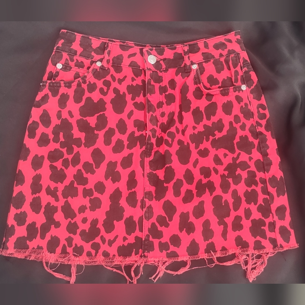 Top Shop Skirt